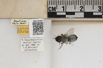Media type: image;   Entomology 786050 Aspect: Labels